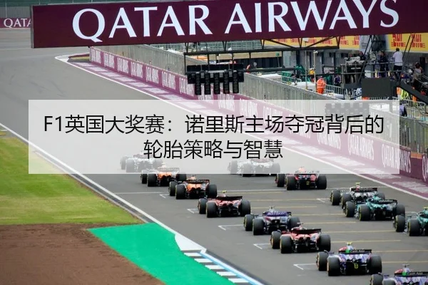 F1英国大奖赛：诺里斯主场夺冠背后的轮胎策略与智慧