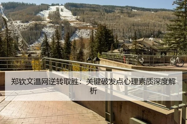 zheng-qin-wen-wen-wang-ni-zhuan-qu-sheng-guan-jian-po-fa-dian-xin-li-su-zhi-shen-du-jie-xi-2-113.jpg